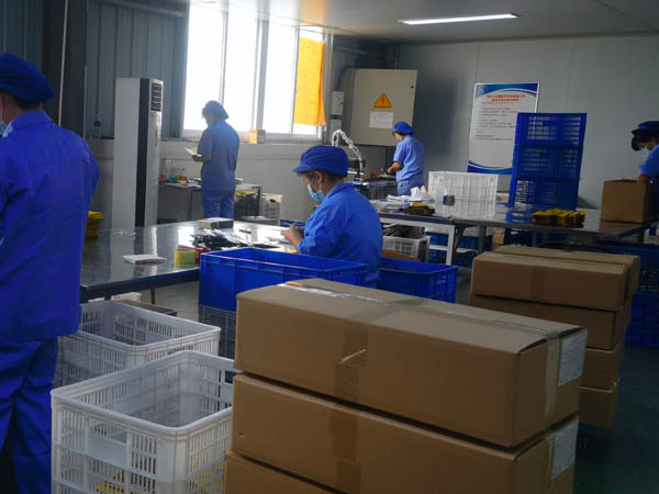 哪里有膏藥加工廠？膏藥貼牌廠家哪家好？